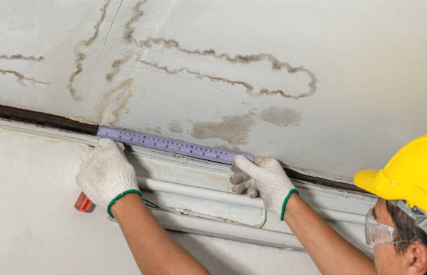 Reliable Mold Remediation contractor in Cornish, NH by Water Damage Irwin